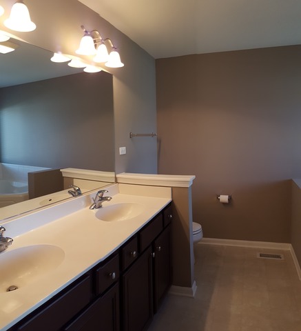 12909 Parterre Pl, Plainfield, IL 60585 photo 7