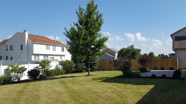 12909 Parterre Pl, Plainfield, IL 60585 photo 17