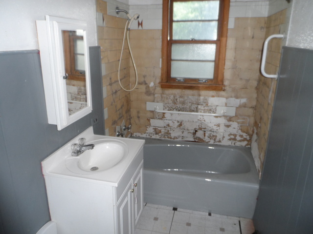16446 Belleplaine Dr, Markham, IL 60428 photo 6