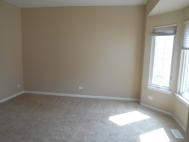 465 Topaz Ln, Bartlett, IL 60103 photo 5