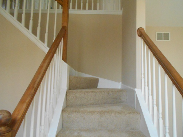 465 Topaz Ln, Bartlett, IL 60103 photo 11