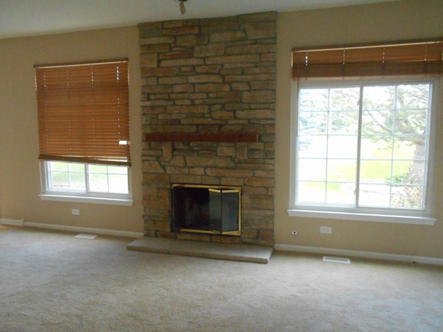 465 Topaz Ln, Bartlett, IL 60103 photo 6