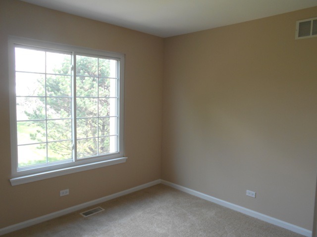 465 Topaz Ln, Bartlett, IL 60103 photo 16