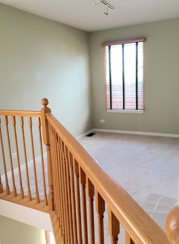 2830 Cedar Glade Dr, Naperville, IL 60564 photo 15
