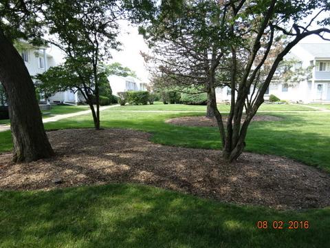 414 Devonshire Ct, Bolingbrook, IL 60440 photo 3