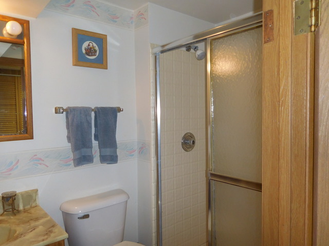 1000 E Ardyce Ln, Mount Prospect, IL 60056 photo 12