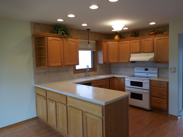 1000 E Ardyce Ln, Mount Prospect, IL 60056 photo 8