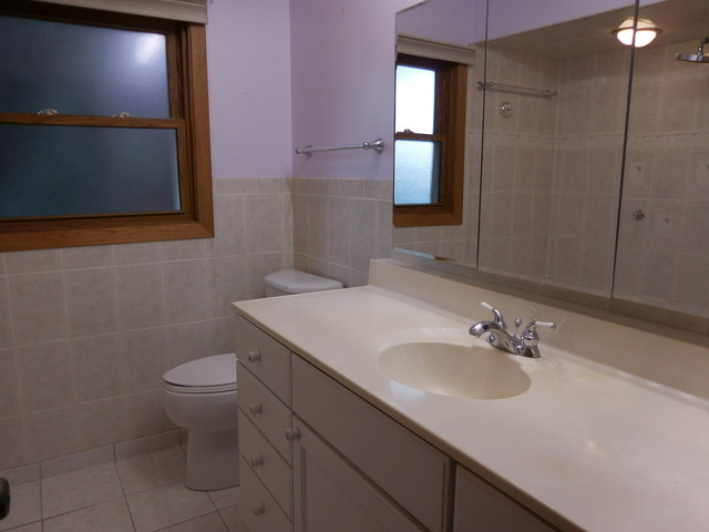 1000 E Ardyce Ln, Mount Prospect, IL 60056 photo 11
