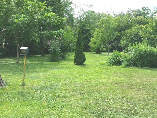 504 Good Ave, Des Plaines, IL 60016 photo 3