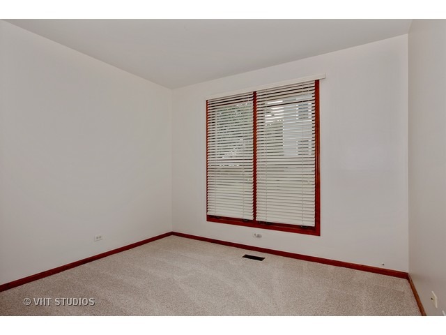 910 Prospect Ct, Naperville, IL 60540 photo 10