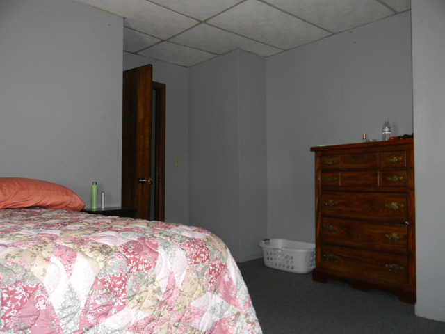 125 W 3rd St, Spring Valley, IL 61362 photo 7