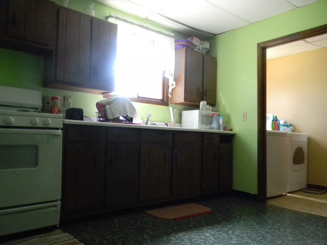 125 W 3rd St, Spring Valley, IL 61362 photo 4