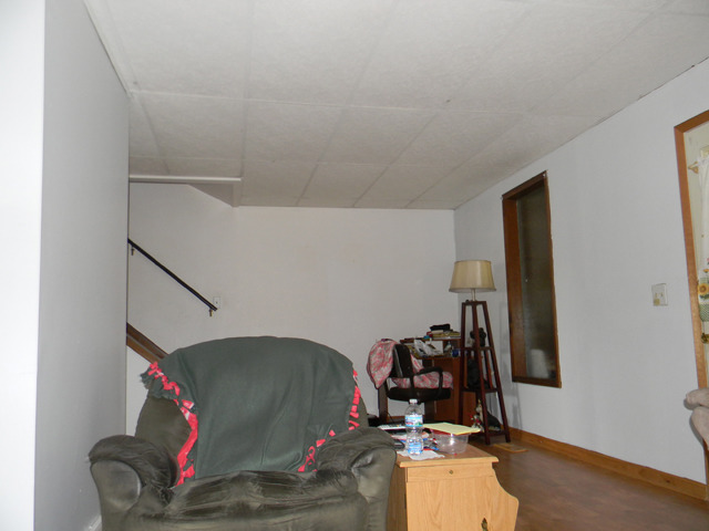 125 W 3rd St, Spring Valley, IL 61362 photo 3