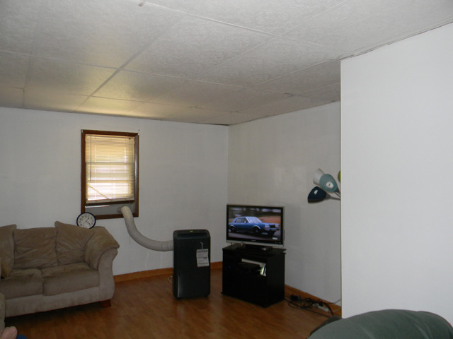 125 W 3rd St, Spring Valley, IL 61362 photo 2