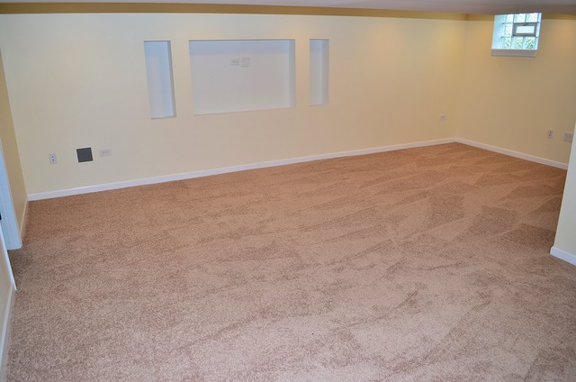 429 E Division St, Lockport, IL 60441 photo 17