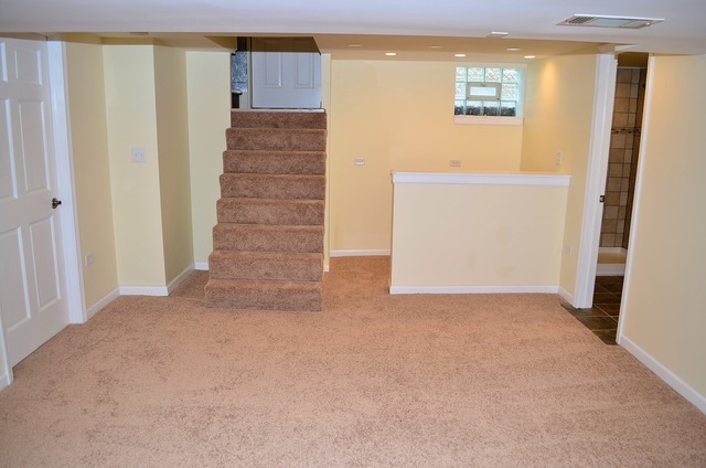 429 E Division St, Lockport, IL 60441 photo 16