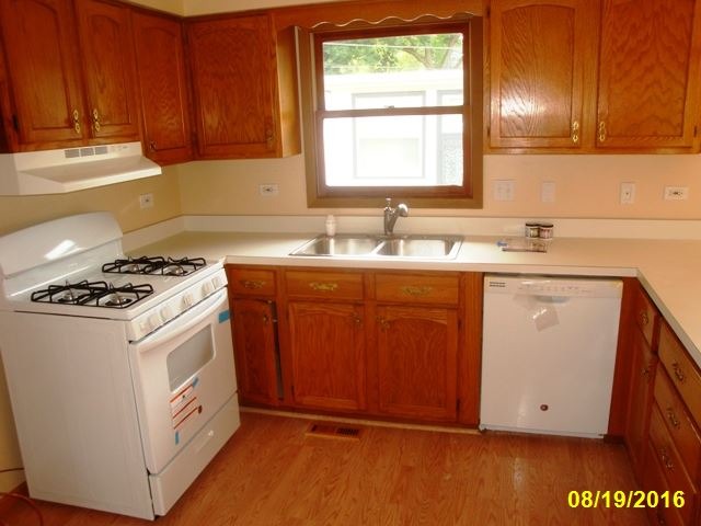 131 E Morse Ave, Bartlett, IL 60103 photo 5