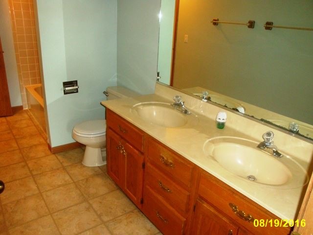 131 E Morse Ave, Bartlett, IL 60103 photo 10