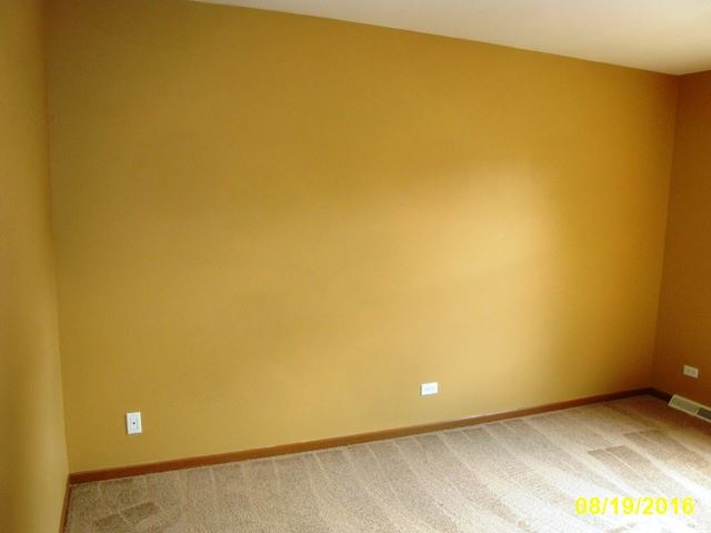 131 E Morse Ave, Bartlett, IL 60103 photo 6