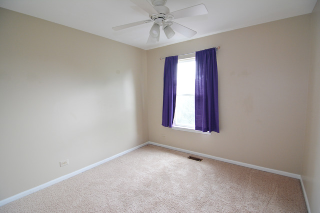 1265 Cobblers Crossing Ct, Elgin, IL 60120 photo 15