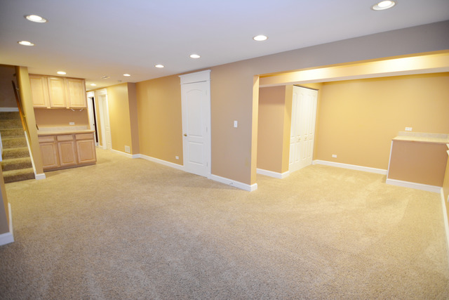 1265 Cobblers Crossing Ct, Elgin, IL 60120 photo 18