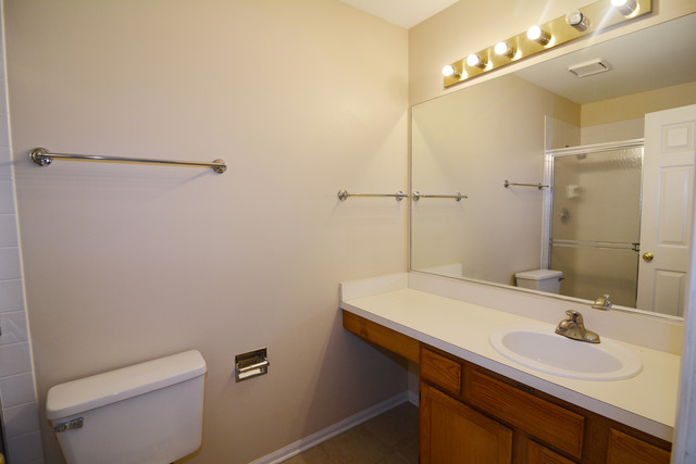 1265 Cobblers Crossing Ct, Elgin, IL 60120 photo 13