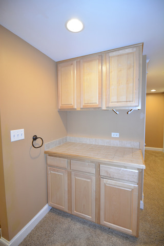 1265 Cobblers Crossing Ct, Elgin, IL 60120 photo 19