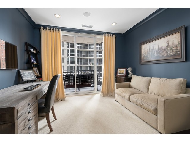 10 E Delaware Pl #17D, Chicago, IL 60611 photo 9