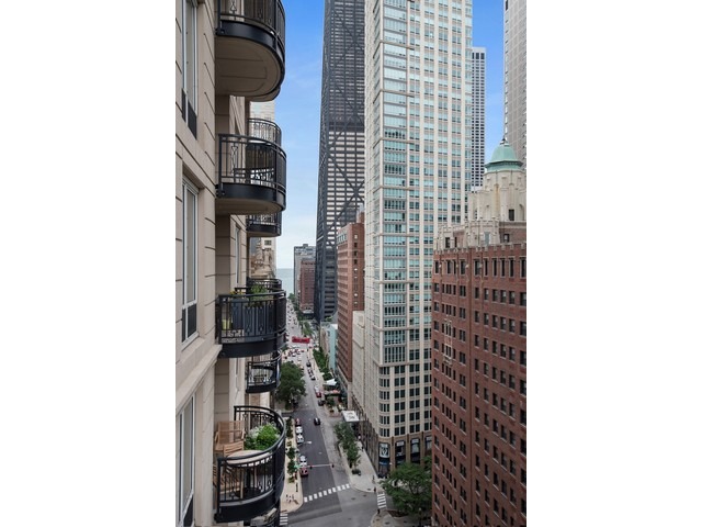 10 E Delaware Pl #17D, Chicago, IL 60611 photo 15