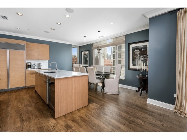 10 E Delaware Pl #17D, Chicago, IL 60611 photo 5