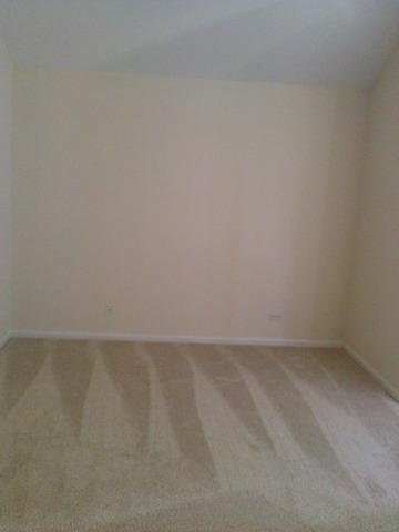 268 Superior Cir, Bartlett, IL 60103 photo 20