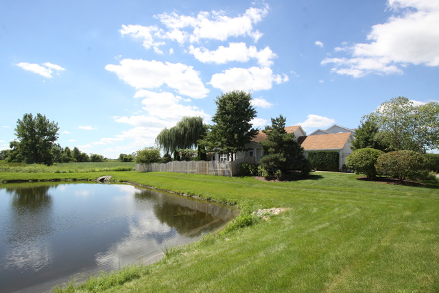 4681 W Iris Ln, Monee, IL 60449 photo 2