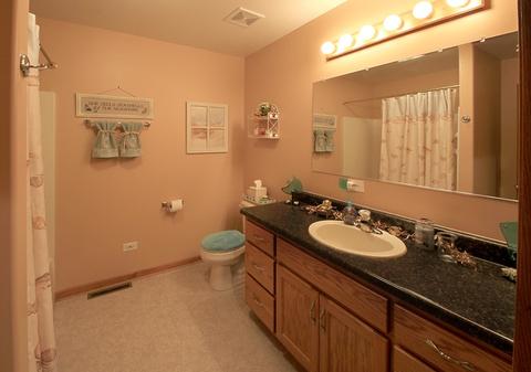 905 Center St, Mazon, IL 60444 photo 10