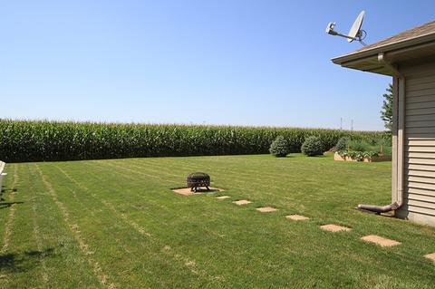 905 Center St, Mazon, IL 60444 photo 18