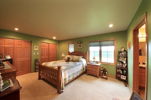905 Center St, Mazon, IL 60444 photo 7