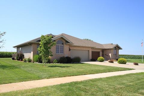 905 Center St, Mazon, IL 60444 photo 2