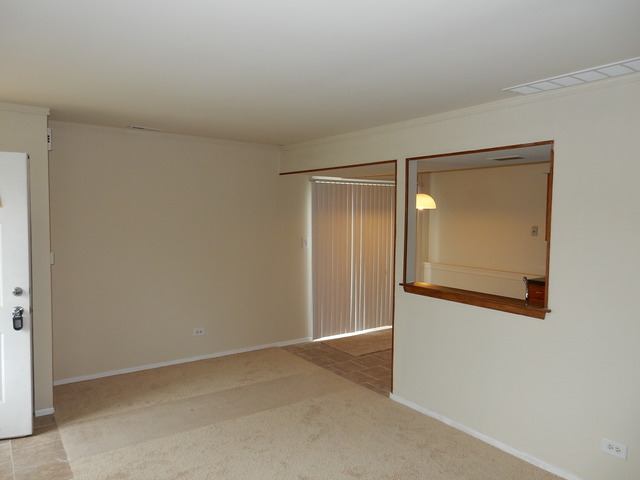 129 Lucille Ct #C, Bartlett, IL 60103 photo 5