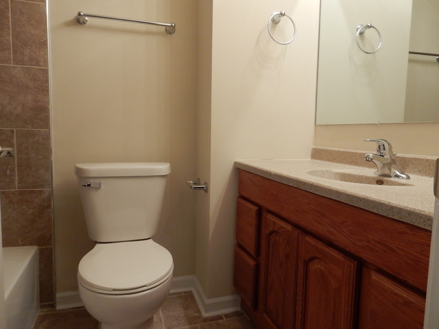 129 Lucille Ct #C, Bartlett, IL 60103 photo 3