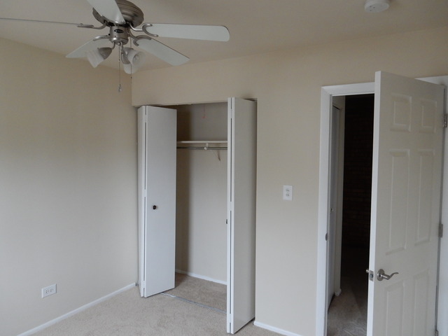 129 Lucille Ct #C, Bartlett, IL 60103 photo 9