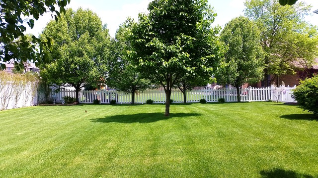5120 Bobby Locke Ln, Midlothian, IL 60445 photo 23