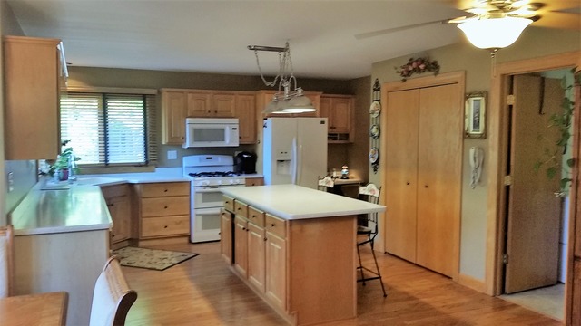5120 Bobby Locke Ln, Midlothian, IL 60445 photo 4