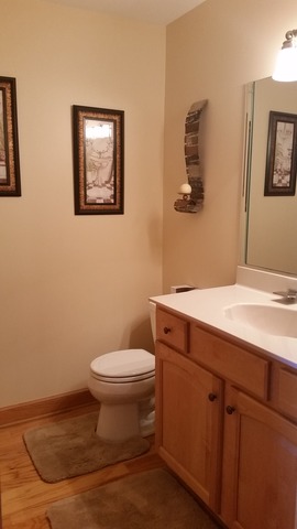 5120 Bobby Locke Ln, Midlothian, IL 60445 photo 20