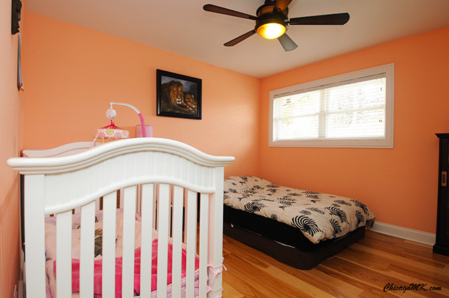 371 Stone Pl, Wheeling, IL 60090 photo 14