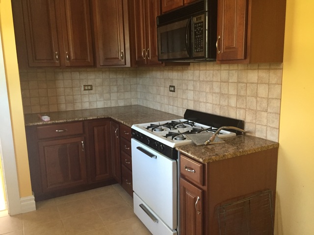 523 Hill Ave, Elgin, IL 60120 photo 3
