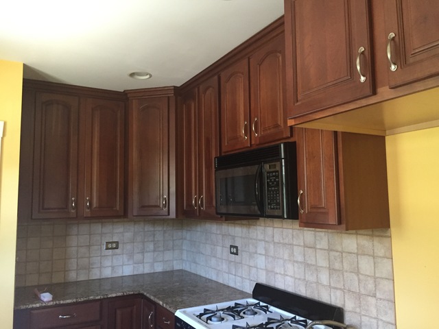 523 Hill Ave, Elgin, IL 60120 photo 2