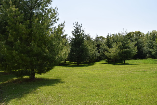 2301 Colby Point Rd, Mchenry, IL 60050 photo 20