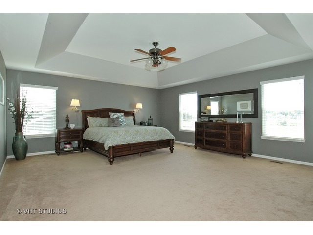 3636 Ancient Oak Dr, Elgin, IL 60124 photo 10