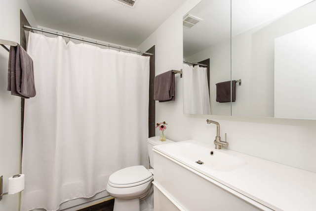 3027 N Gresham Ave, Chicago, IL 60618 photo 16