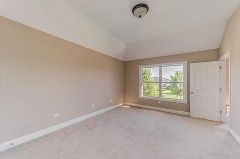 26436 Silverleaf Dr, Plainfield, IL 60585 photo 16