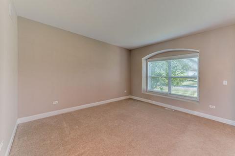 26436 Silverleaf Dr, Plainfield, IL 60585 photo 20